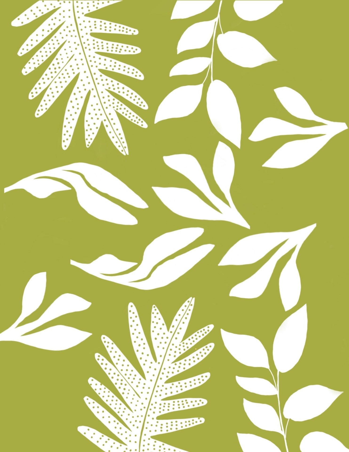Laua'e Leaves